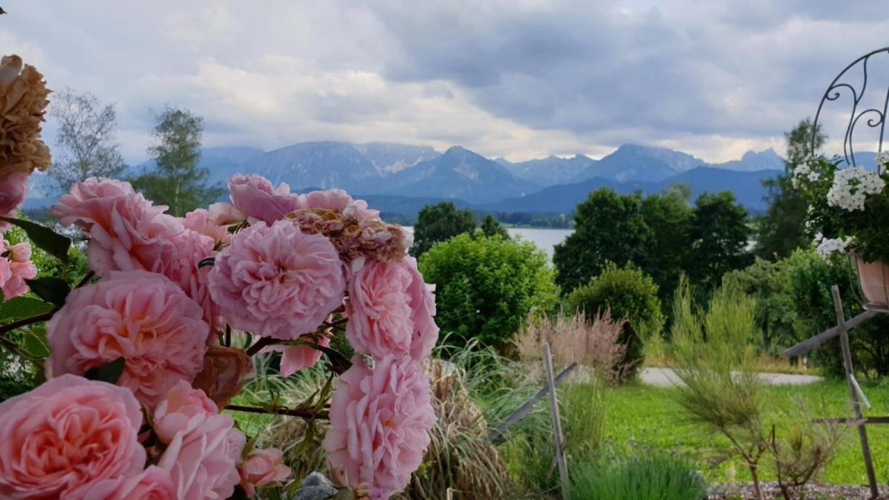 Landhaus Amberg Hopfen Am See // Hopfensee // Fuessen Exteriör bild