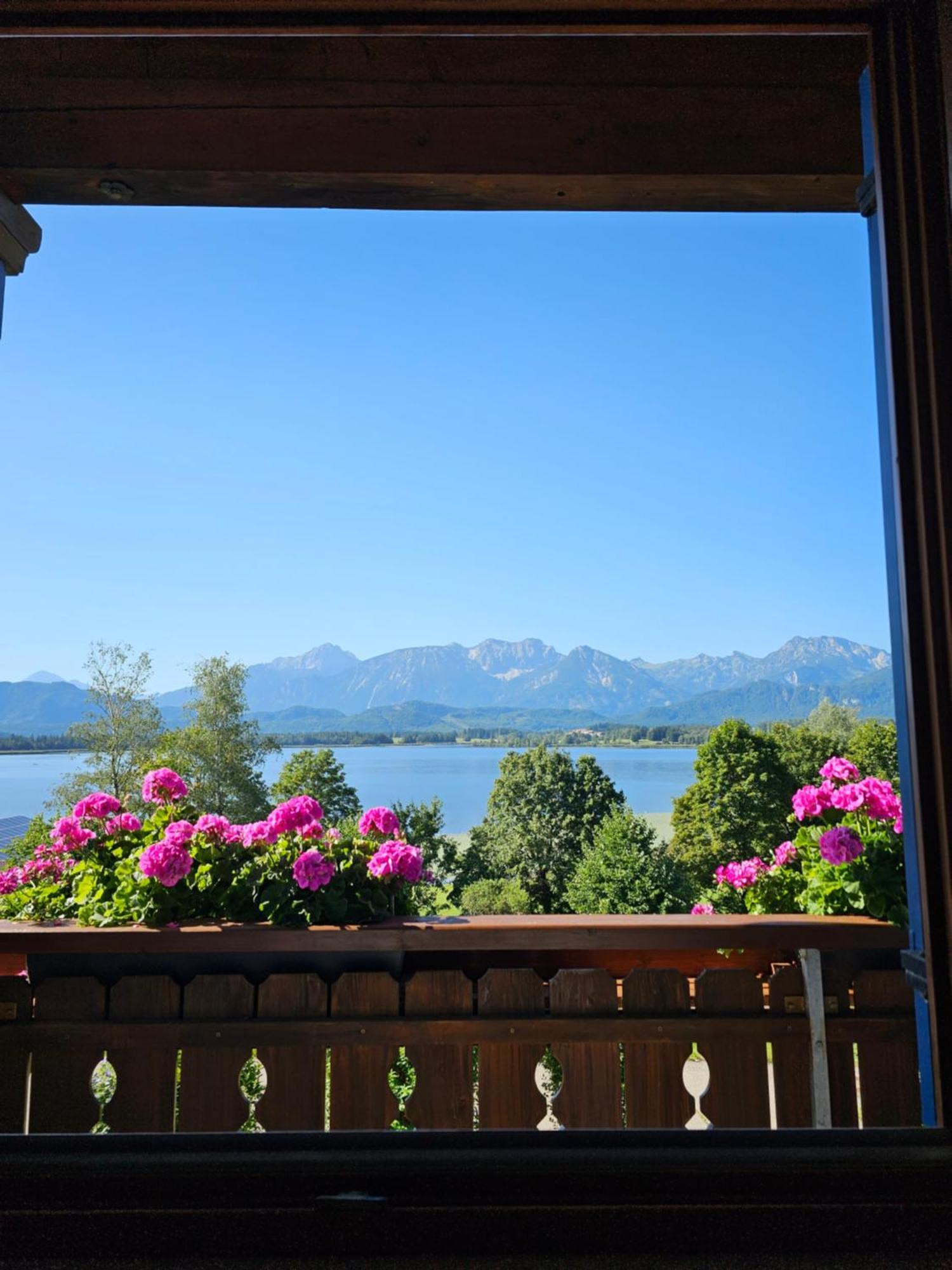 Landhaus Amberg Hopfen Am See // Hopfensee // Fuessen Exteriör bild