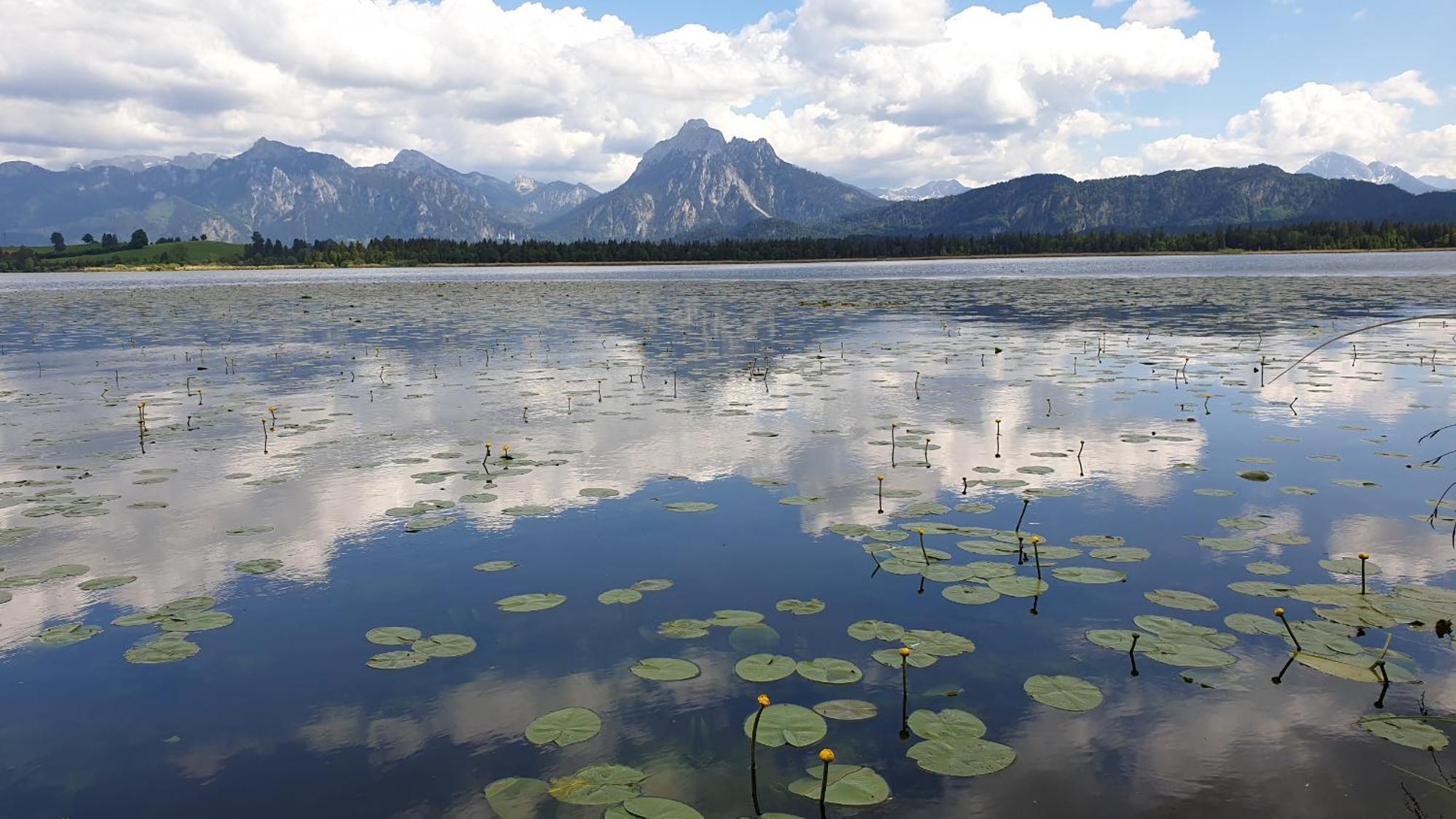 Landhaus Amberg Hopfen Am See // Hopfensee // Fuessen Exteriör bild